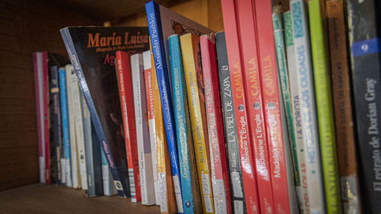 Libros Estante biblioteca Escuela Raíces de Quellón